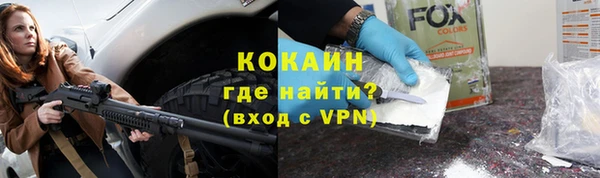 прущие грибы Приозерск