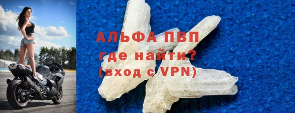 ПСИЛОЦИБИНОВЫЕ ГРИБЫ Бородино